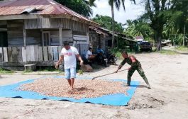 Babinrmail 01 Sikabaluan Motivasi Penampung Komoditi Pinang di Desa Sigapokna