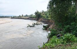 Air Sungai Batang Anai Hampir Capai Jalan Raya Padang–Bukittinggi, Rumah Warga Terancam Runtuh