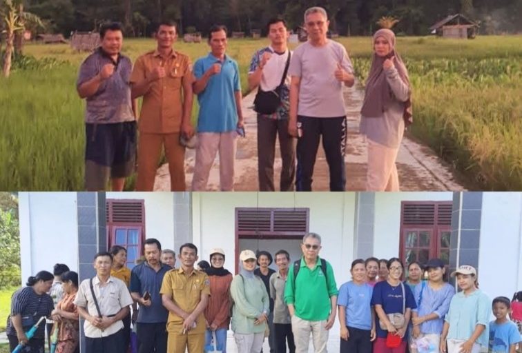 Optimalisasi Lahan Sawah di Desa Makalo, Total Luasan Investigasi 153,67 Hektar