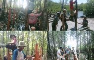 Desa Makalo Bakal Hadirkan Wisata Mangrove Yang Berlokasi di Dusun Tubeket