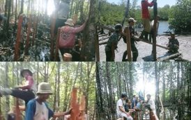 Desa Makalo Bakal Hadirkan Wisata Mangrove Yang Berlokasi di Dusun Tubeket