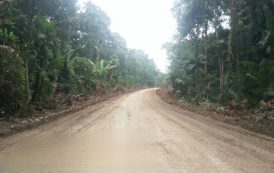 Pembangunan Jalan Km.18-Belekraksok Sudah Mencapai 80 Persen